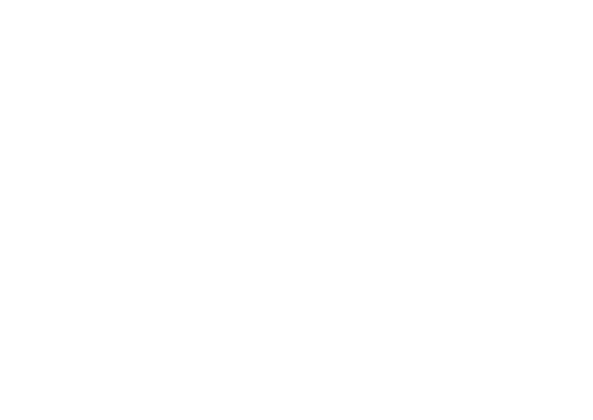 Double Vision logo