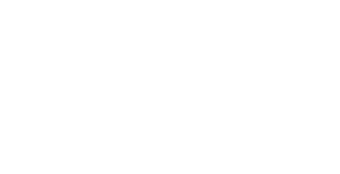 Wellington City Airport logo